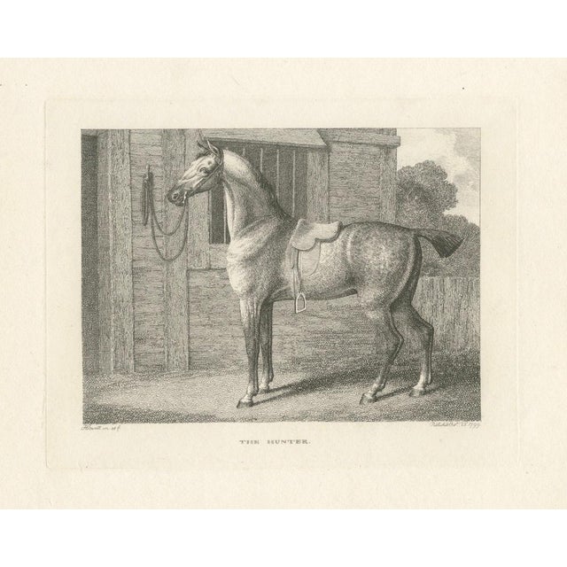 Samuel Howitt, The Hunter, 1799, Engraving For Sale - Image 9 of 9
