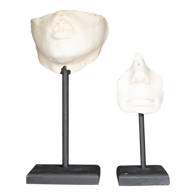 Early 20th C. Plaster Cast Nose and Mouth Sculpture C.1900-1930 For Sale