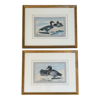 1930s Pair of Framed Antique Chromolithograph Duck Prints For Sale