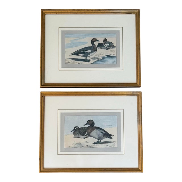1930s Pair of Framed Antique Chromolithograph Duck Prints For Sale
