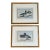 1930s Pair of Framed Antique Chromolithograph Duck Prints For Sale