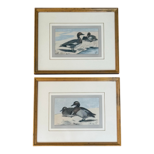 1930s Pair of Framed Antique Chromolithograph Duck Prints