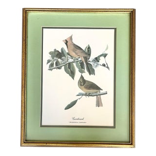 1930s J J Audubon Birds “Cardinal” Vintage Collotype Print, Gold Gilt Wooded Frame For Sale
