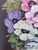 Vintage Original Flower Oil Painting, Signed Floral Still Life For Sale - Image 11 of 12