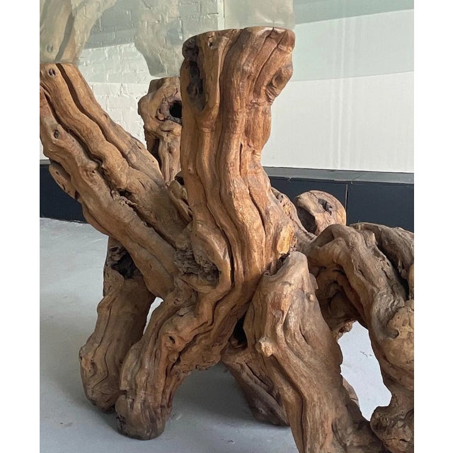 1980s Vintage Burl Wood Root Table With Glass Top For Sale In New York - Image 6 of 7