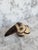 Ceramic 1990s Handcrafted Stoneware Bird Figurine With Brown Beak and Floral Details 4" Long Tonala Mexico For Sale - Image 7 of 12