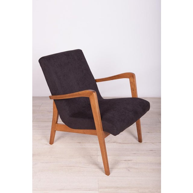 Set of Type 300-138 Beech Armchairs from Bystrzyckie Furniture Factory, 1960s For Sale - Image 12 of 18