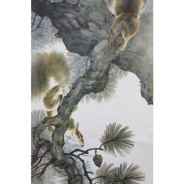 1970s Liu Kuiling Beasts Hanging Scrolls Cats Monkeys Rabbits Squirrels 38" - Set of 4 For Sale - Image 11 of 18