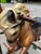Vintage Children's Wonder Horse Riding Toy For Sale - Image 4 of 8