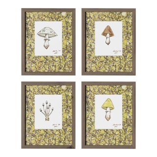 Brown Mushrooms by Lia Burke Libaire in Walnut Frame, XS Art Prints on Paper For Sale