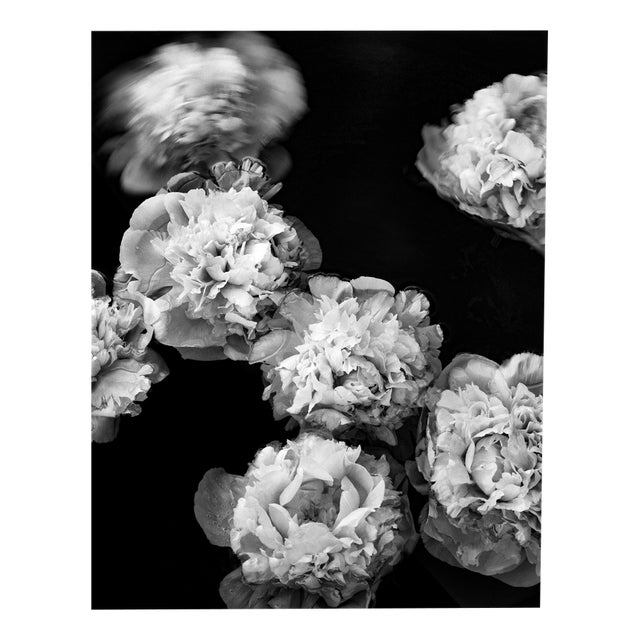 Ugne Pouwell, Peonies Afloat, 2024, Photography For Sale