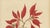 Berthe Hoola van Nooten, Poinsettia, 1880, Chromolithograph For Sale - Image 4 of 9