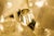 Tulipan Waterfall Glass Chandelier from Kalmar, Austria, 1960s For Sale - Image 17 of 18