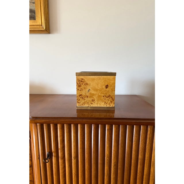 Brown Hollywood Regency Burl and Brass Plant Pot, Vivai del Sud, Italy, 1970s For Sale - Image 8 of 9