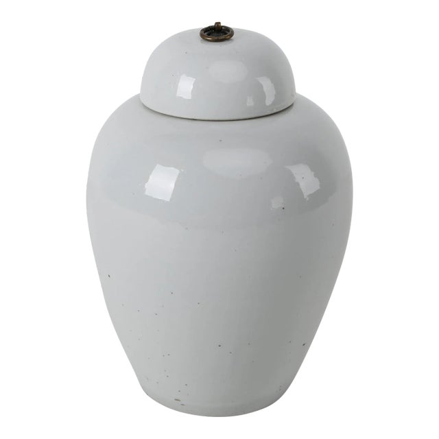 Contemporary Clara Ginger Jar For Sale