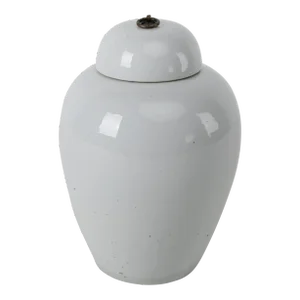 Contemporary Clara Ginger Jar