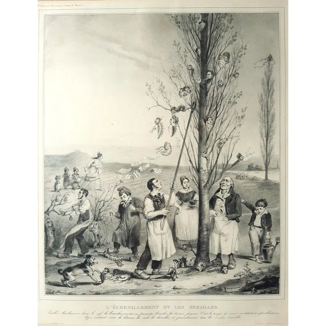 L’échénillement et les Sémaille - Original Lithograph by J.J. Grandville - 1833 1833 For Sale