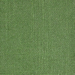 Sanderson Tuscany II Fabric in Cactus For Sale