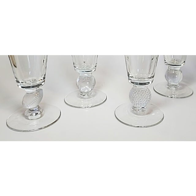 Vintage Sport Pilsners- Set of 8 For Sale - Image 6 of 8