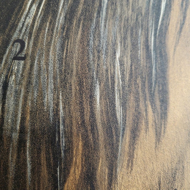 Wood Mid-Century Lithographic Horse Wall Chart, 1960s For Sale - Image 7 of 14