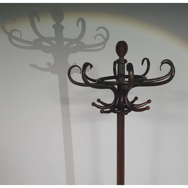 M.30 Hat and Umbrella Stand from Thonet For Sale - Image 10 of 17