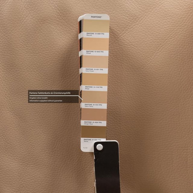 Leather 3-Seater Sofa from Wk Wohnen For Sale - Image 6 of 11