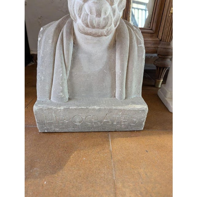 French School Artist, Bust of Hippocrates, 19th Century, Stone For Sale - Image 6 of 13