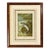 Salmon Leap Antique Sporting Fish Print, Circa 1899, Framed For Sale