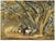 G.D. Paulraj, Mattu Vandi on the Mowbrays Road, Watercolor For Sale - Image 3 of 5