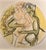RARE 2004 Bruno Zeppilli Limited Edition 19/50 Lithograph Framed, Signed Aprox. dimensions: Frame: 19"H x 19"W Lithograph:...