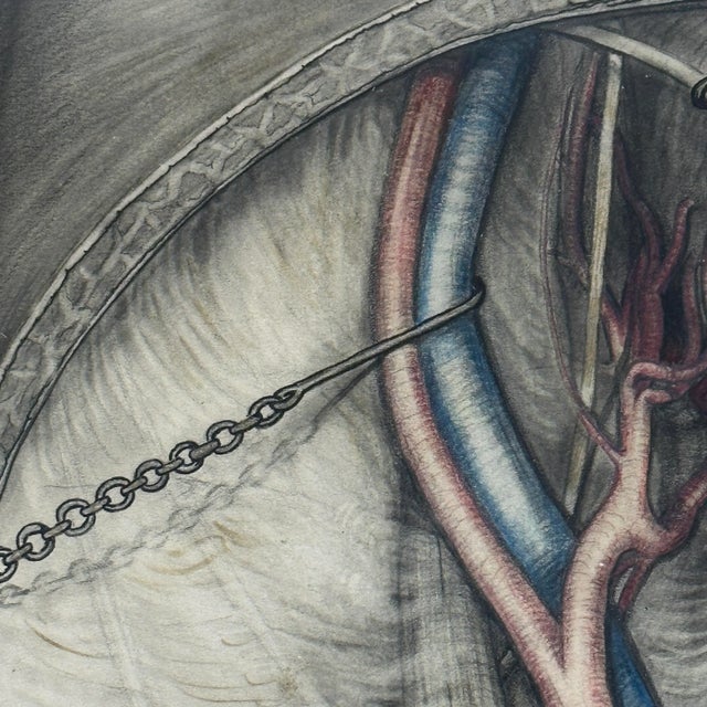 Art Deco Antique 19th Century Surgical Mixed Media Drawing, Signed For Sale - Image 3 of 5