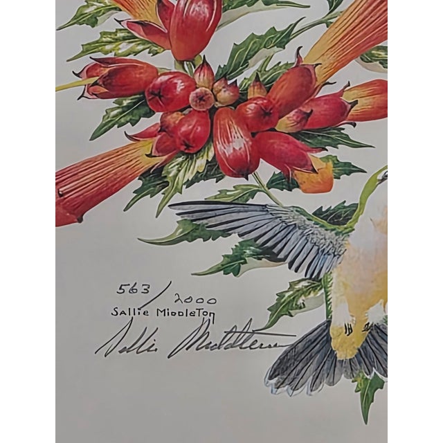 Realism Sallie Middleton “August” Ruby-Throated Hummingbirds Limited Edition Lithograph For Sale - Image 3 of 6