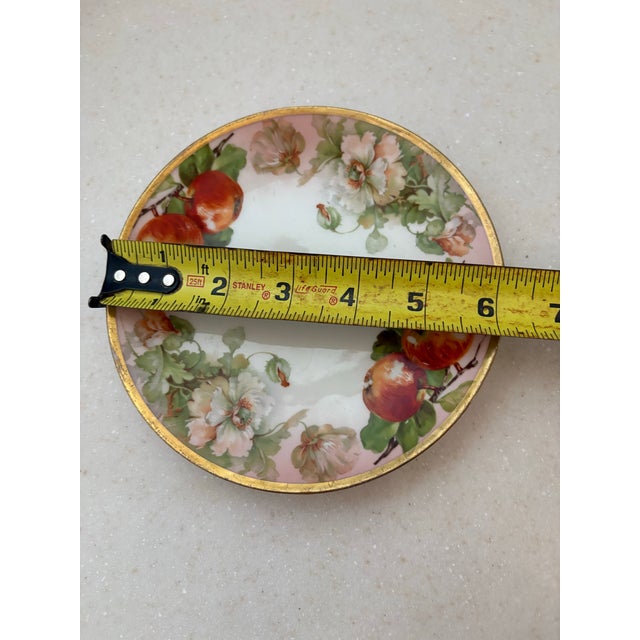 Late 19th Century Antique Royal Rudolstadt Prussia Hand-Painted Apple Cabinet Plate With Blush Ground and Gilt Rim For Sale - Image 5 of 5