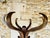 Mid-Century Modern Mid-Century Modern Standing Coat Rack from Baumann, 1960s For Sale - Image 3 of 18