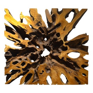 Andrianna Shamaris Impressive Teak Wood Root Art or Coffee Table For Sale