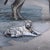 Queen of the Wild Hearts by Marcin Owczarek | Photography - Dye Sublimation on Aluminum depicting a rabbit with wings among various animals. For Sale - Image 4 of 5