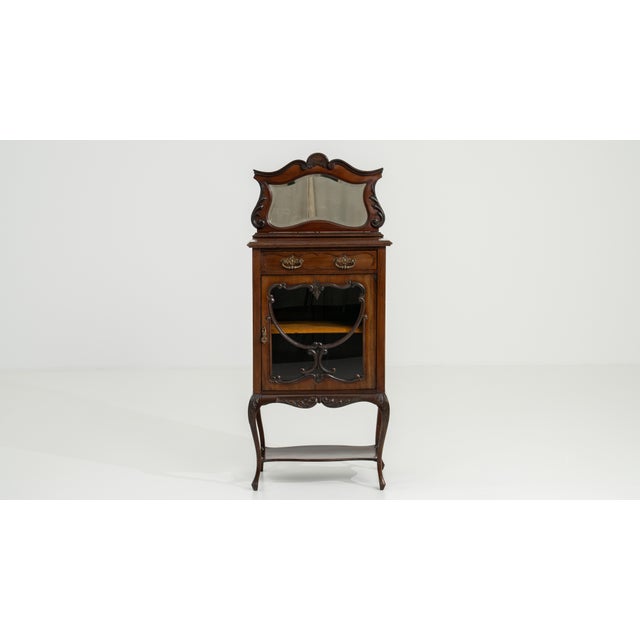 19th Century Victorian Slimline Cabinet For Sale - Image 13 of 13
