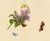 Louisa Hare, Butterflies on Lilac Flower, Watercolour For Sale