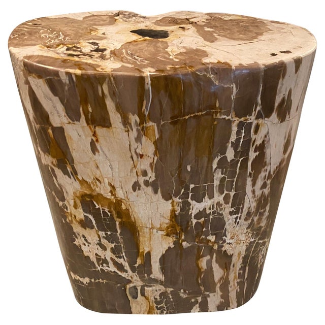 Impressive beautiful contrasting tones and textures in this ancient petrified wood side table. It’s fascinating how Mother...