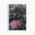 Contemporary 'First Frost / Final Bloom' Set of Botanical Photographs, Floral Art Series of Four 12 X 18" Fine Art Photography Prints For Sale - Image 3 of 7
