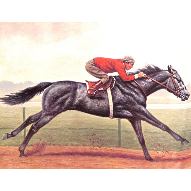 "Classic Lines: A Gallery of the Great Thoroughbreds" 1975 Reeves, Richard Stone & Robinson, Patrick For Sale In New York - Image 6 of 7