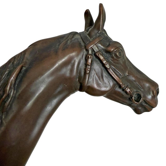 Bronze Thoroughbred Horse Sculpture For Sale - Image 12 of 18