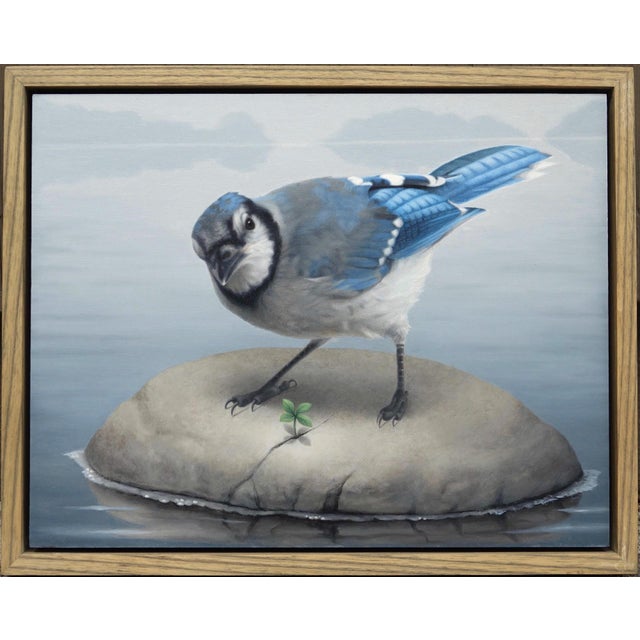 This oil painting depicts a blue jay perched on a smooth stone, intently observing a small clover sprouting nearby. The...
