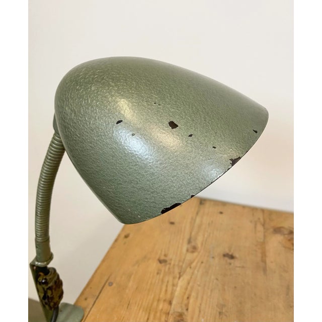Green Industrial Bakelite Gooseneck Table Lamp, 1960s For Sale - Image 10 of 17