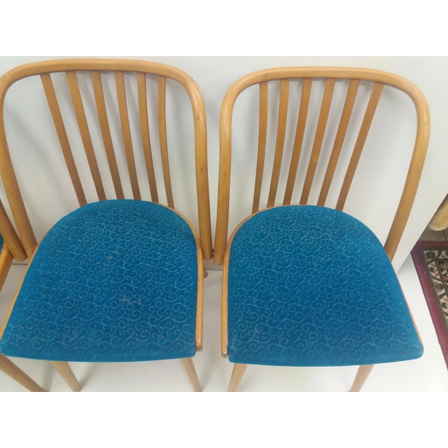 Czechoslovakian Retro Chairs by Antonín Šuman for Ton, 1960s, Set of 4 For Sale - Image 3 of 12