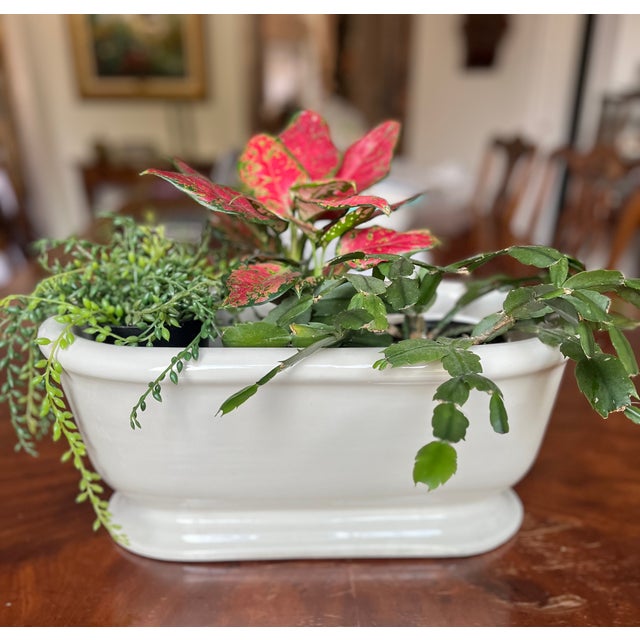 Imported from France. Late 1800s porcelain coated cast iron footed planter. Classic bathtub design with flowing curved...