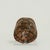 Antique Petite Box Turtle Shell For Sale - Image 10 of 13