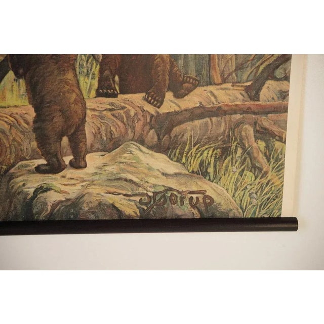 Bear and Cubs School Poster, 1920s For Sale - Image 4 of 7