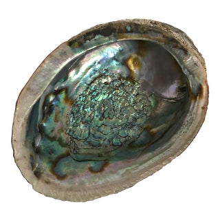 Large Abalone Shell Bowl For Sale