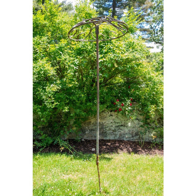 Set of Four French garden Rose Trees For Sale - Image 9 of 12